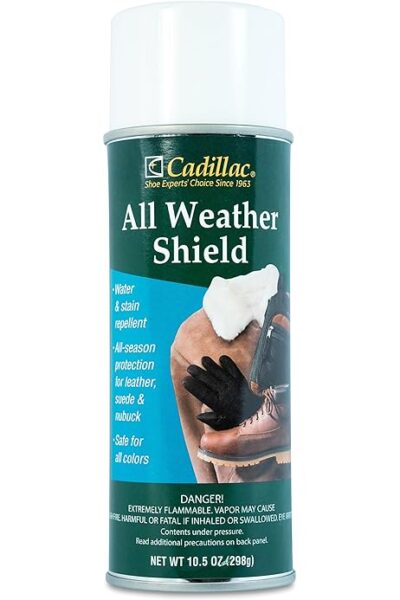 Shoe protector