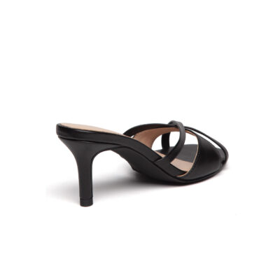 Dandy - Image 7